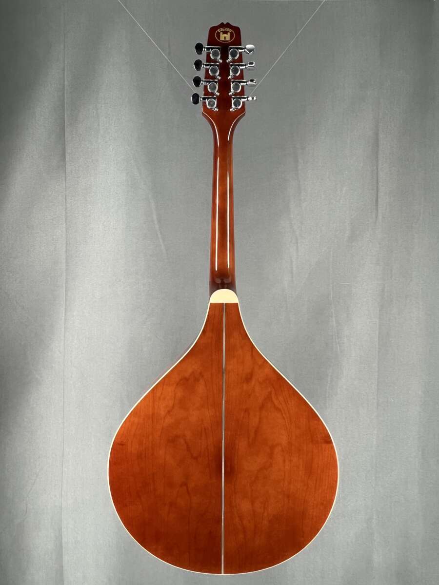Trinity College TM-325 Standard Celtic Octave Mandolin – Natural Top - Saga  Music