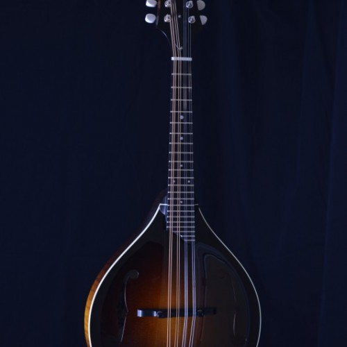 Collings MT Mandolin Gloss Top Ivory bound Mandolin Store