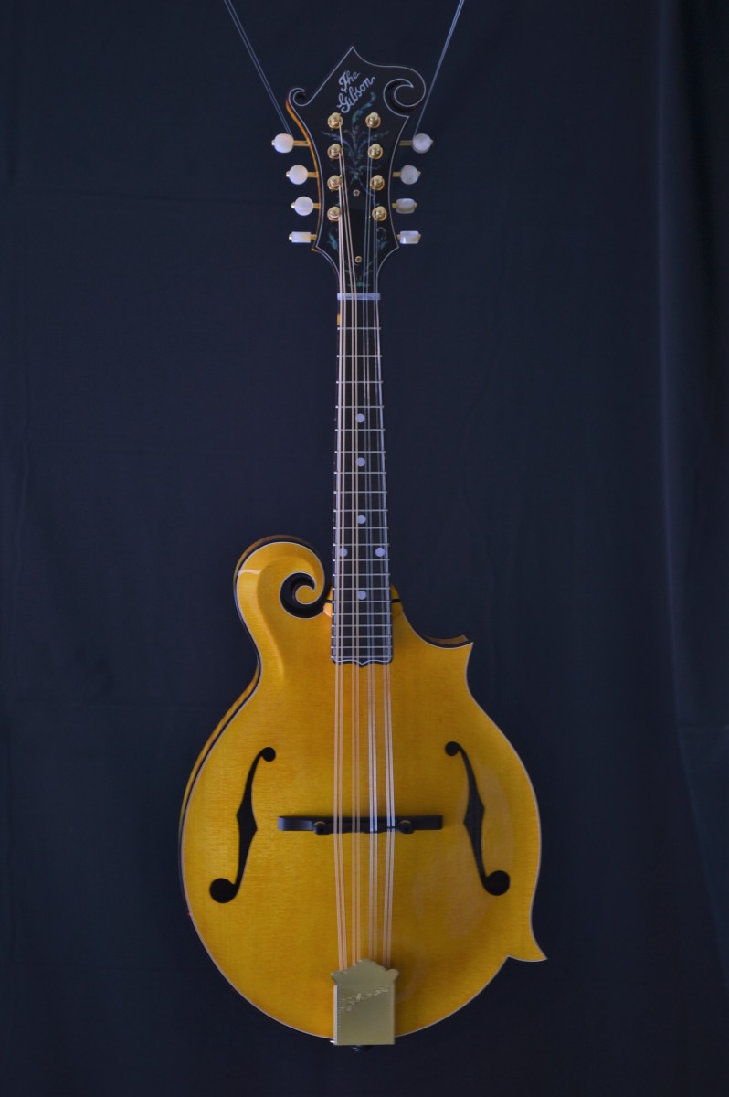 Goldrush Mandolin Eye Candy Mandolin Store