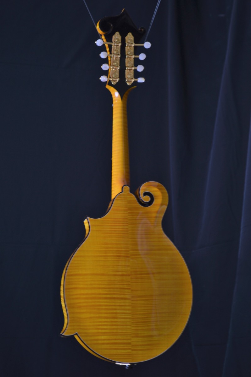 Goldrush Mandolin Eye Candy Mandolin Store