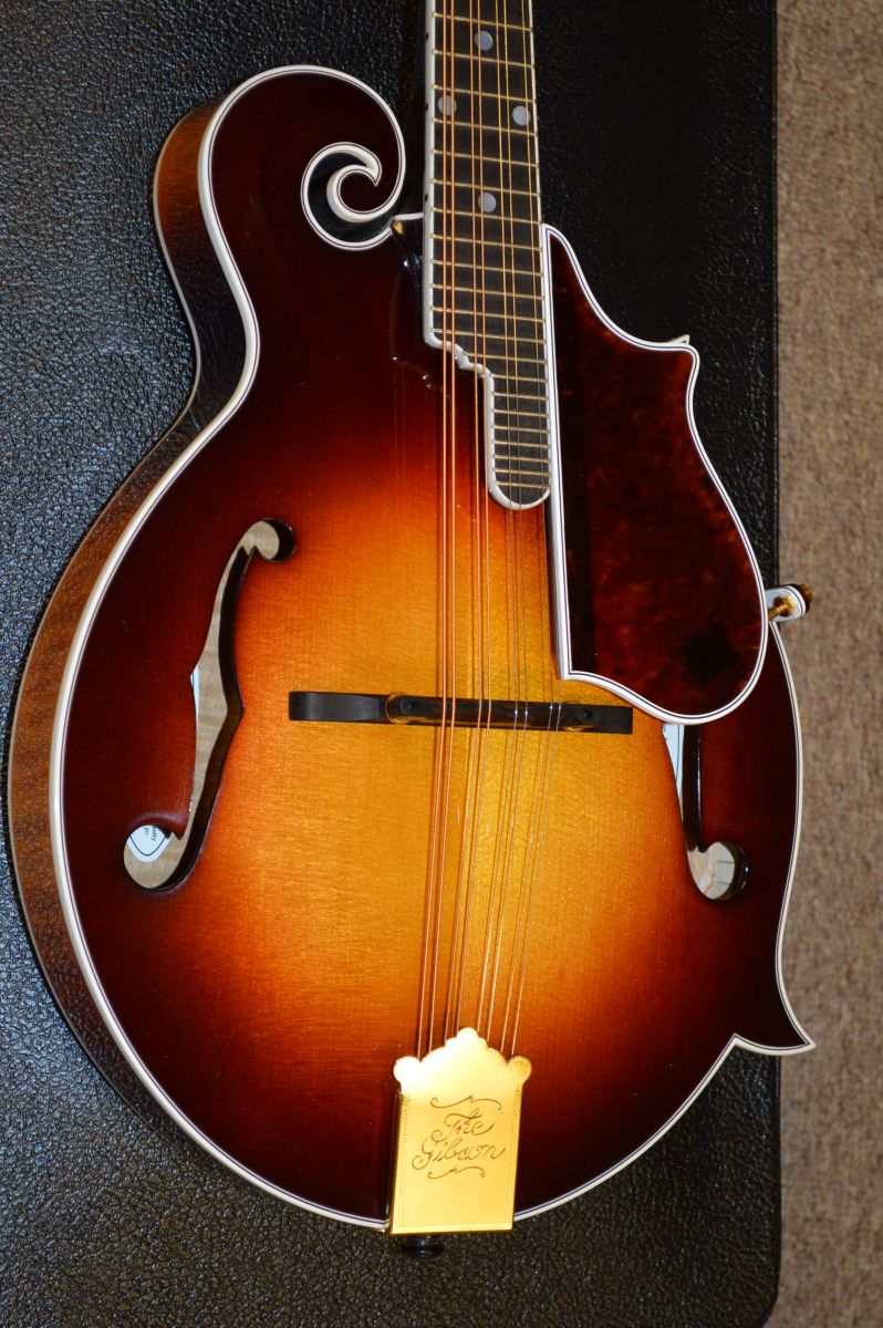 Fern Mandolin Stunning Mandolin Store