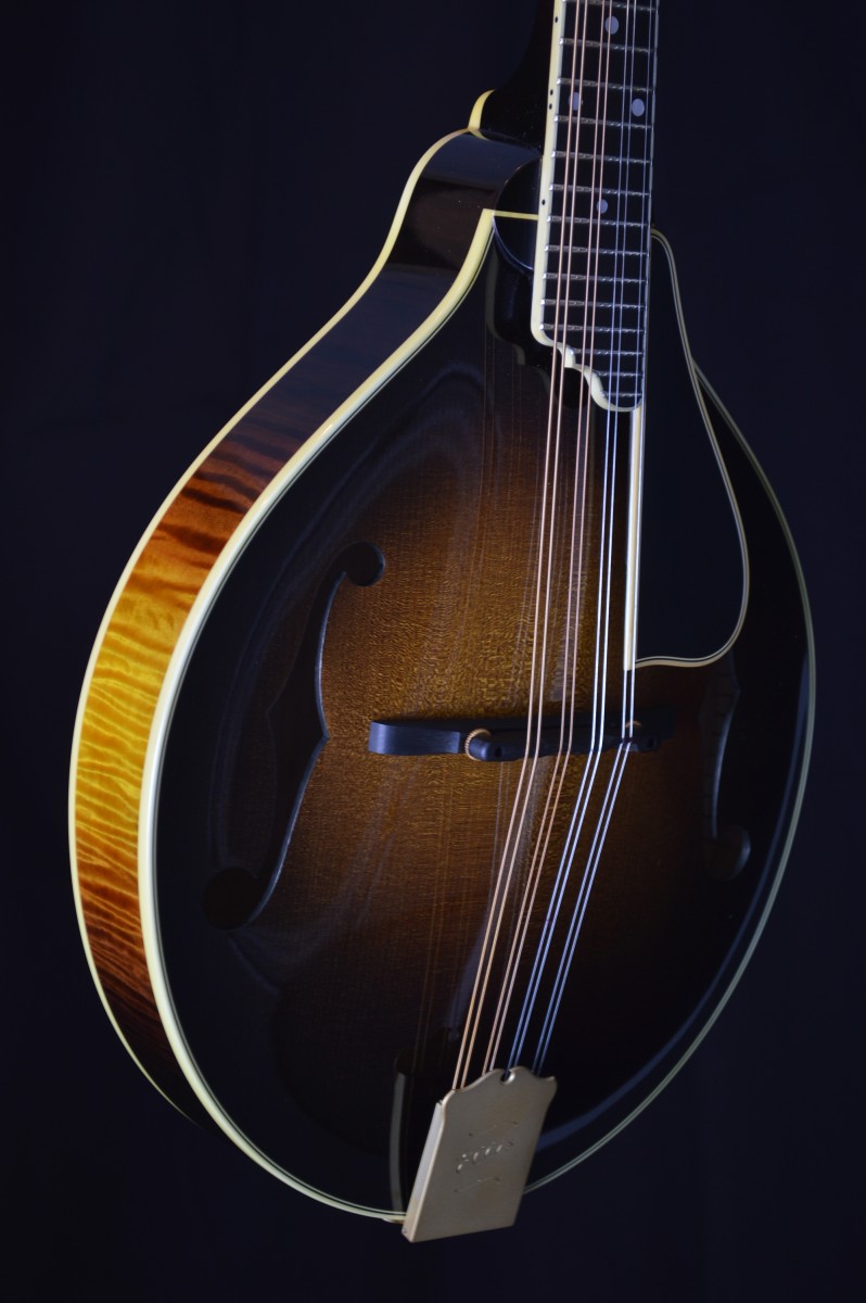 Ellis A Deluxe Mandolin Mandolin Store