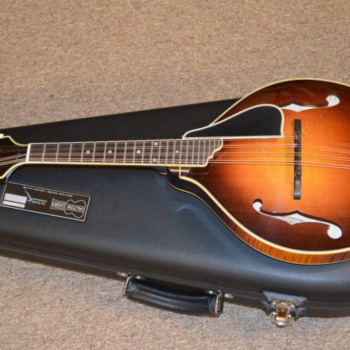 Ellis A Deluxe Mandolin with Calton Case Mandolin Store