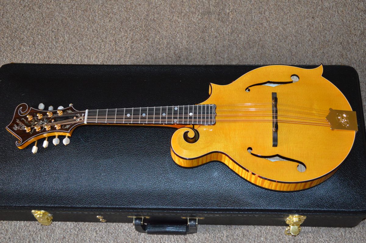 Goldrush Mandolin Eye Candy Mandolin Store