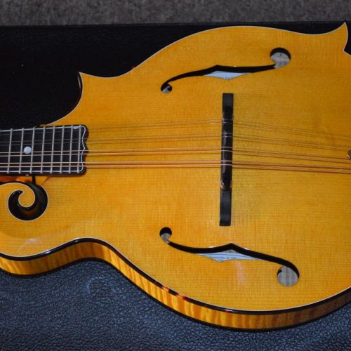 Goldrush Mandolin Eye Candy Mandolin Store