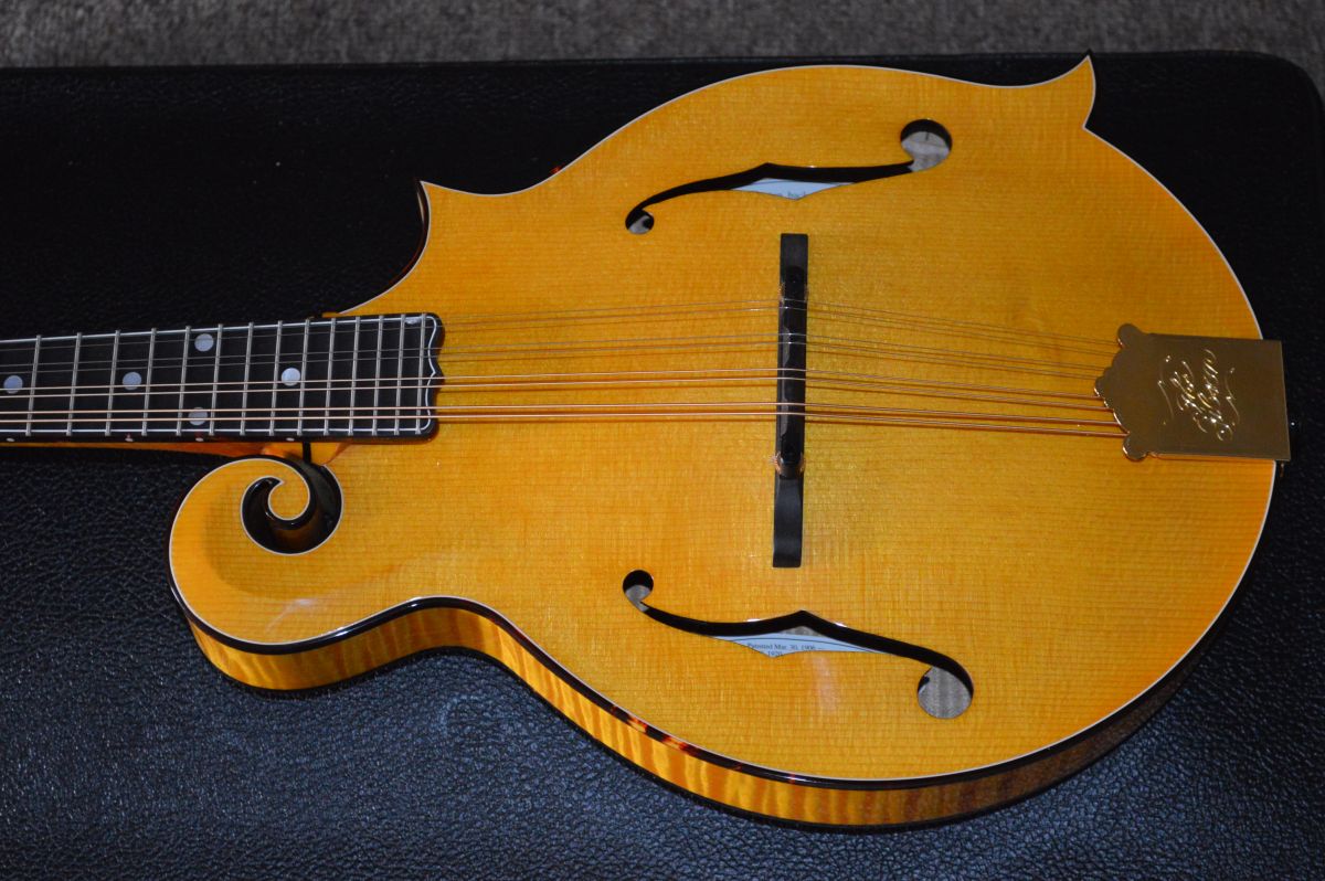 Goldrush Mandolin Eye Candy Mandolin Store