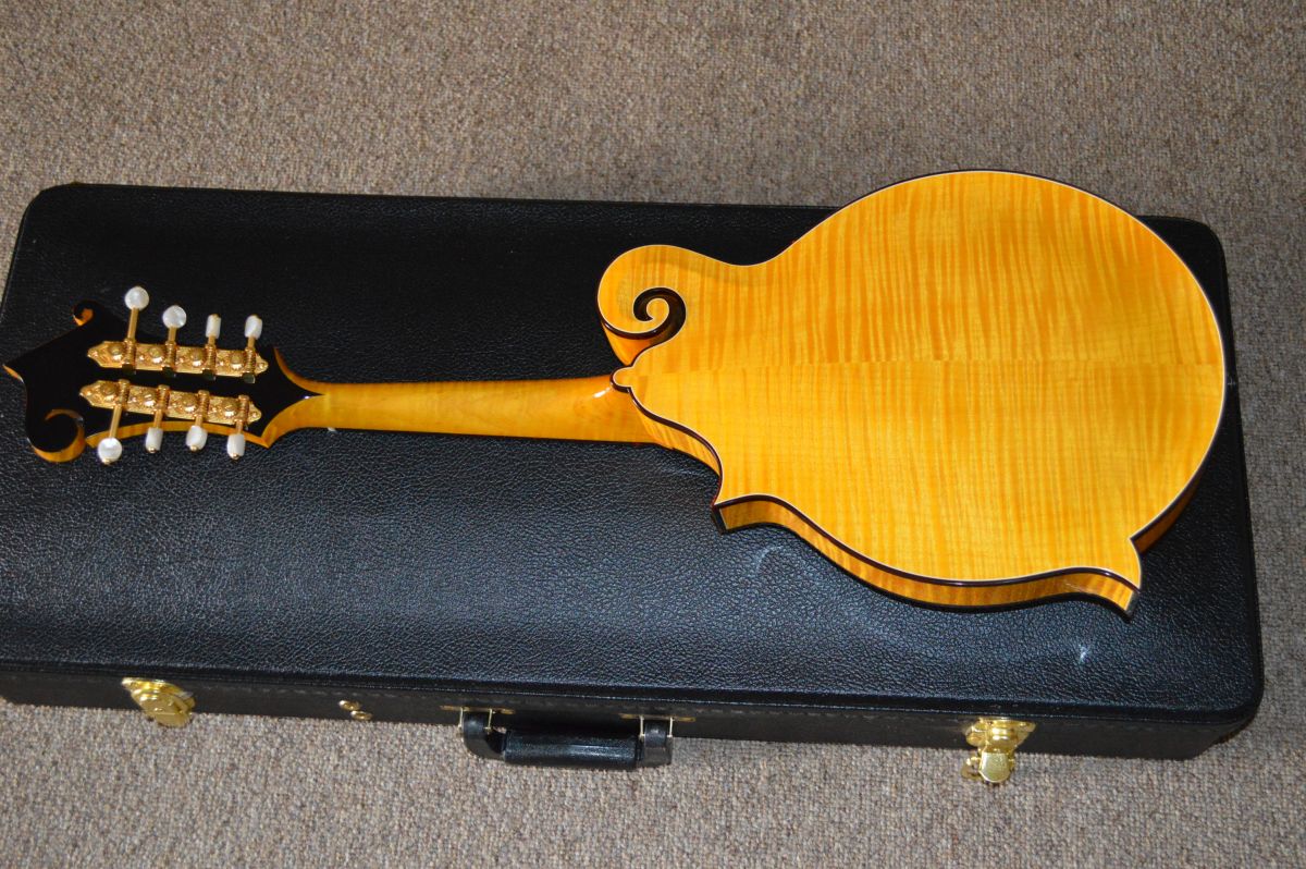 Goldrush Mandolin Eye Candy Mandolin Store