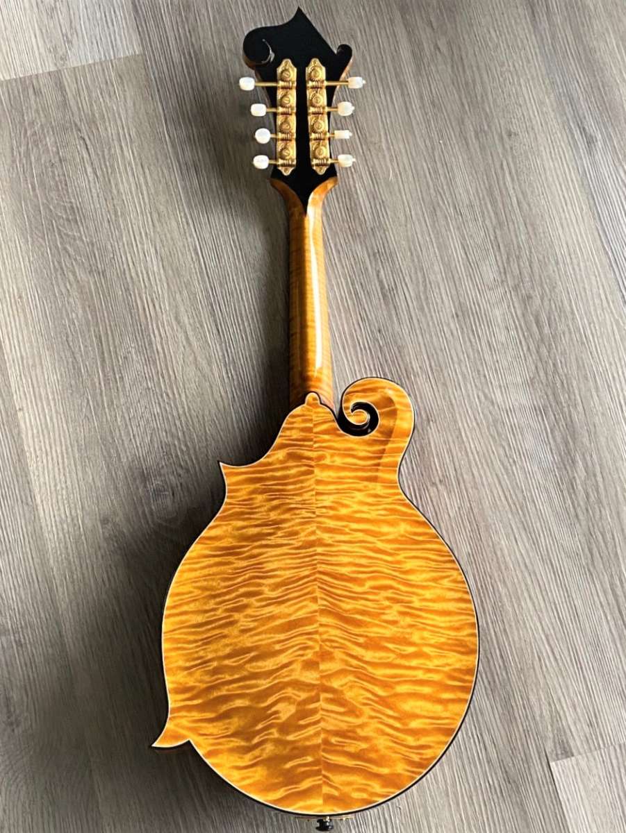 GIbson Goldrush Mandolin Eye Candy Mandolin Store