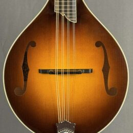 Collings MT2 Mandola