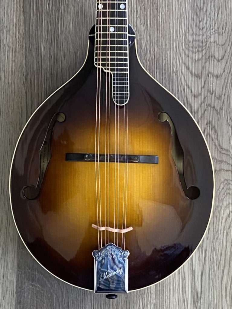 Kentucky KM950 Mandolin Hard Case & Set Up Mandolin Store