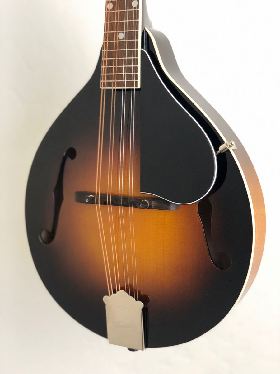 kentucky mandolin reviews km 150
