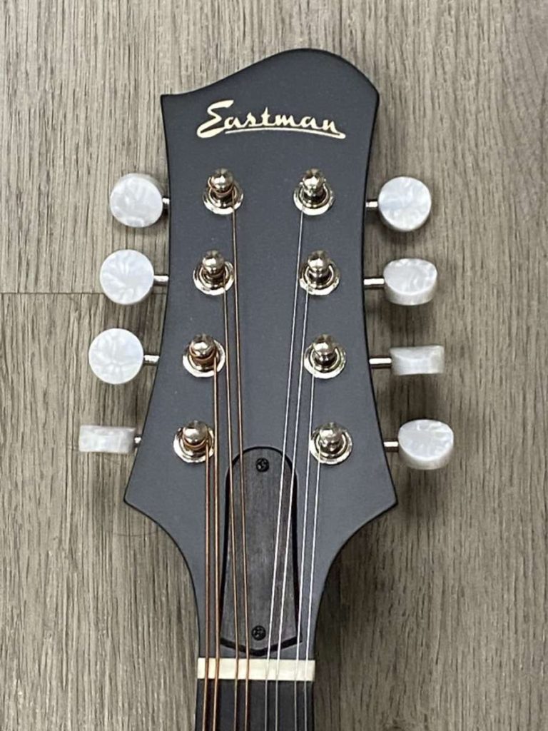 Eastman MD305 Mandolin Bag & Set Up Mandolin Store