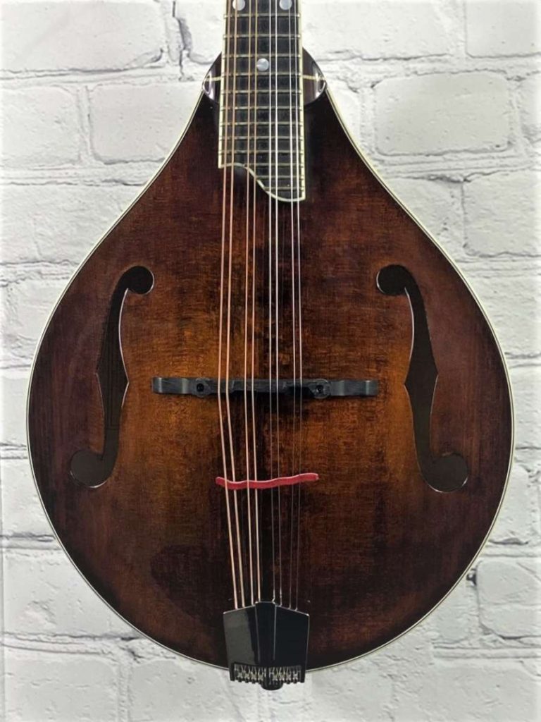 Eastman MD505 Mandolin Hard Case & Set Up Mandolin Store