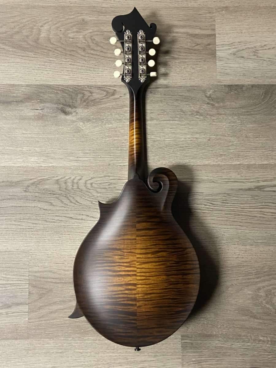 collings mf deluxe mandolin