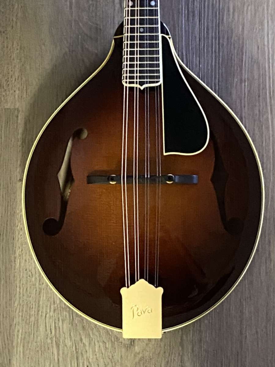Pava Pro Model A Mandolin Torrefied / Varnish Mandolin Store