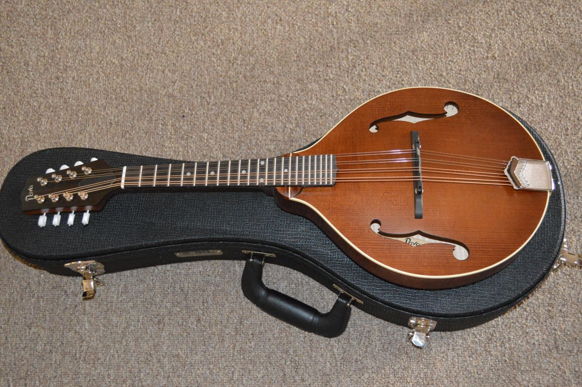 Pava Satin Model A Mandolin Mandolin Store