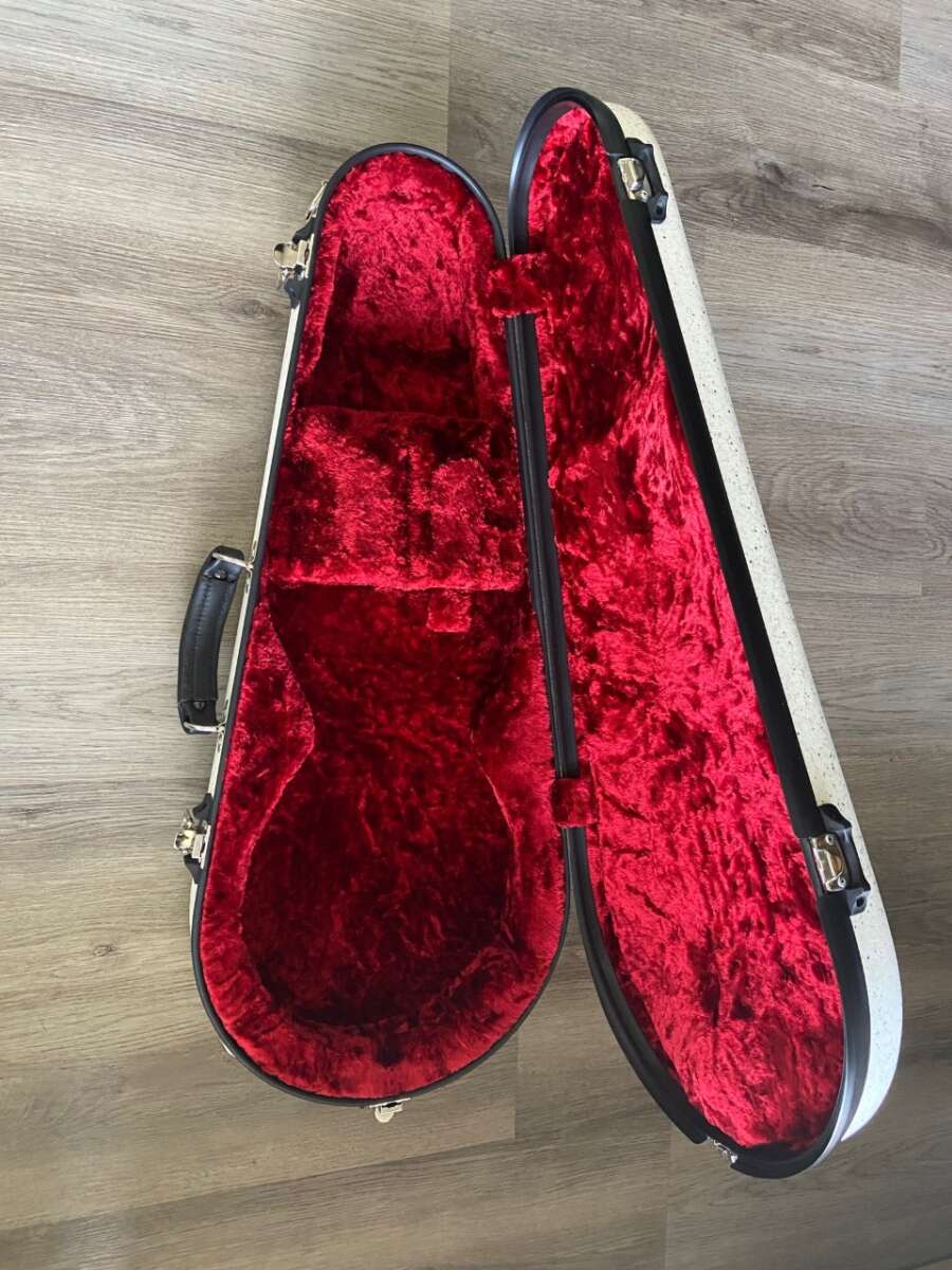 used calton mandolin case