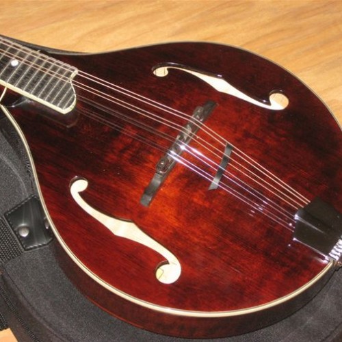 Eastman MD505 Mandolin Left Handed BLEM Mandolin Store