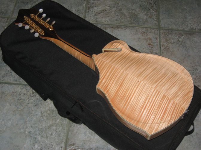 Eastman DGM1 Mandolin Discontinued Mandolin Store