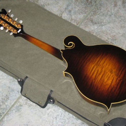 kentucky mandolin dealers