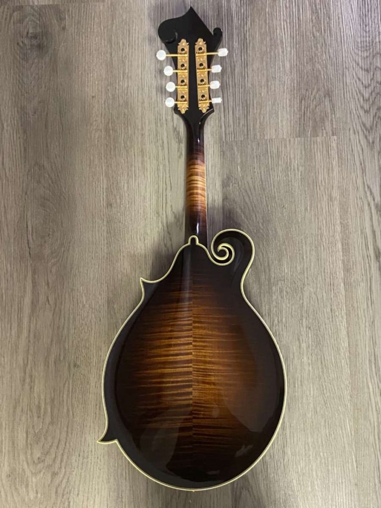 Pava Player F Mandolin Sunburst The Mandolin Store