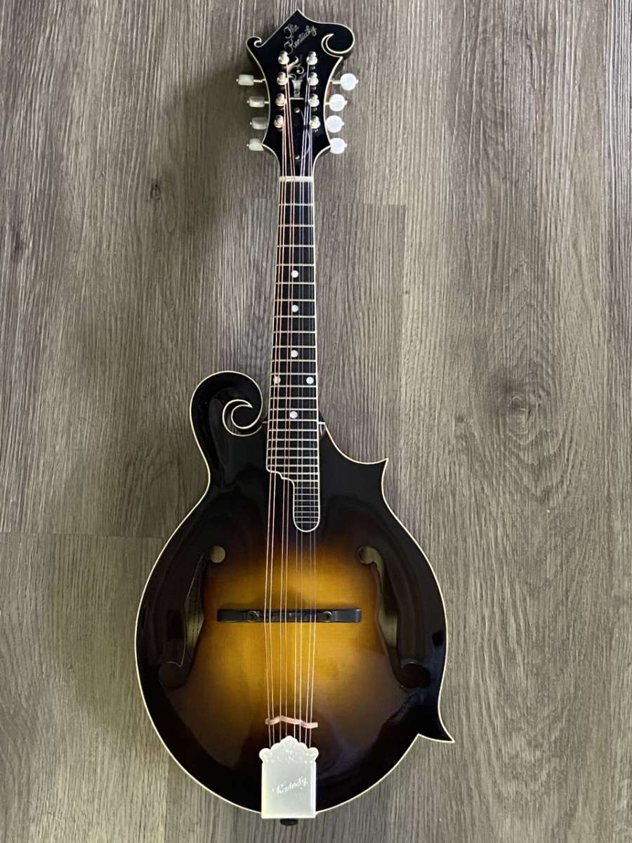 cases for a-style kentucky mandolin
