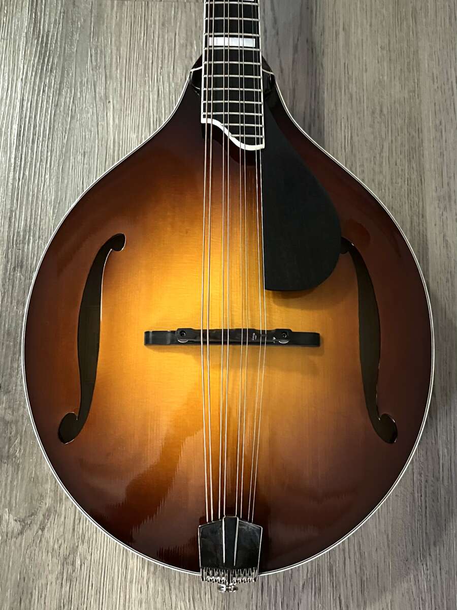 Eastman MDO605 Deluxe Octave Mandolin Mandolin Store