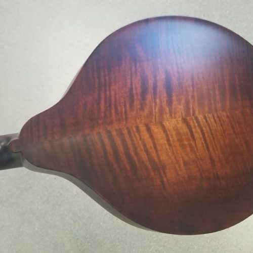 Eastman MDO305 A Octave Mandolin / Hard Case Mandolin Store