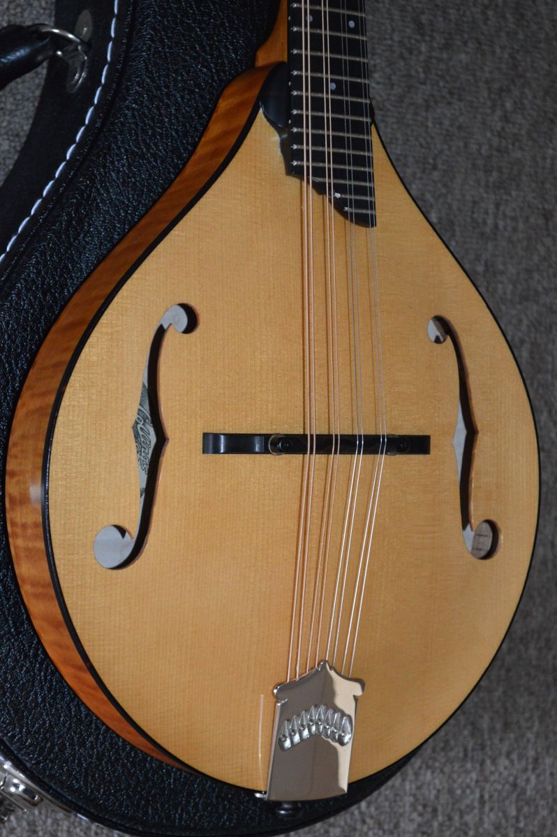 kentucky mandolin tailpiece