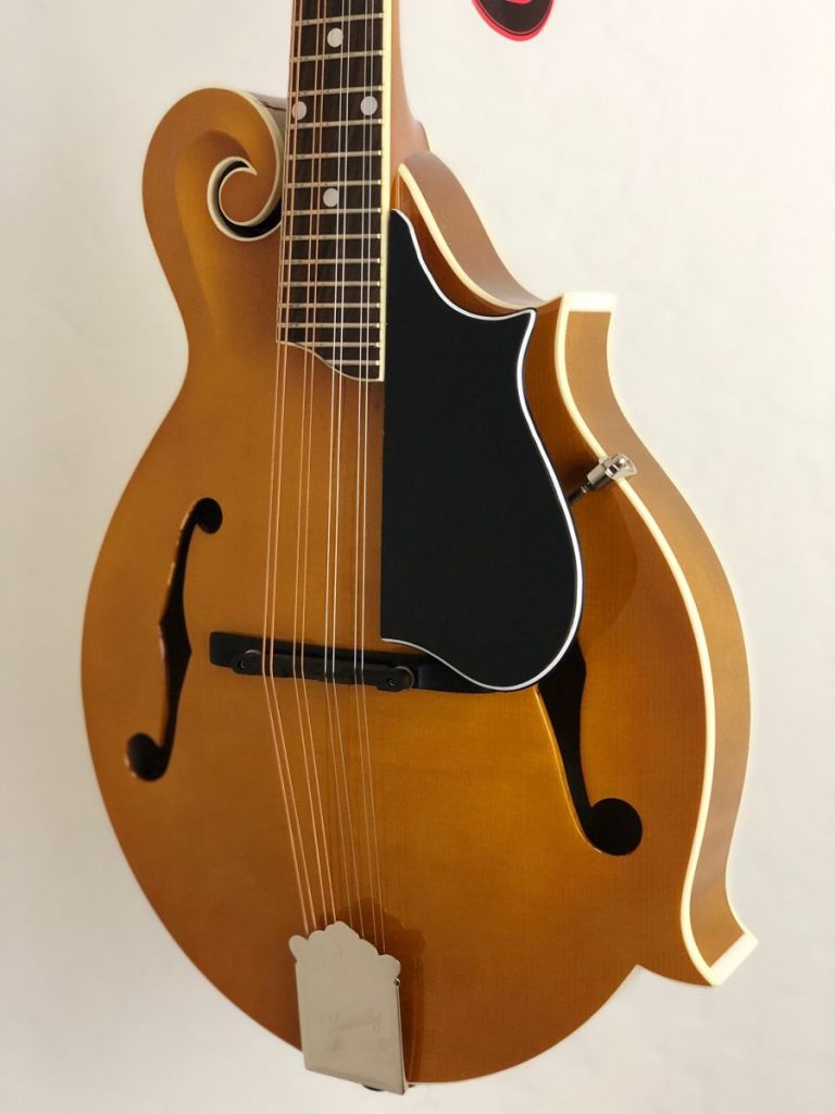 kentucky mandolin store