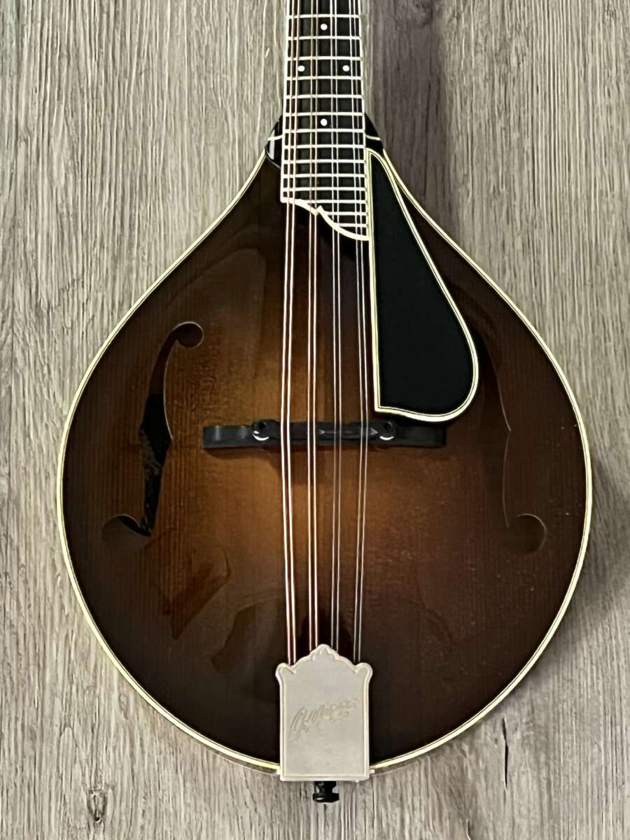 used collings mt mandolin