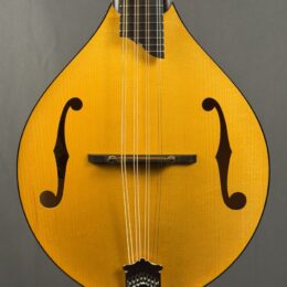 Collings MT Gloss Top Mandola