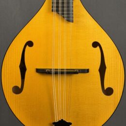 Collings MT Gloss Top Mandola