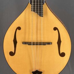 Collings MT Gloss Top Mandola