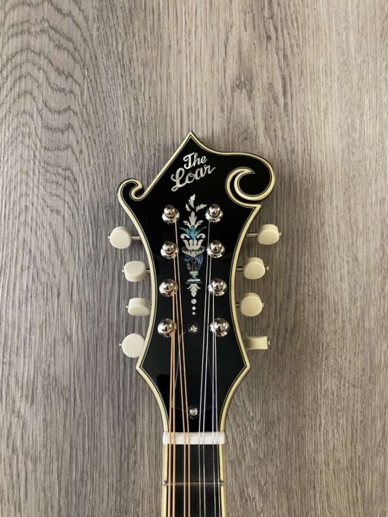 octave mandolin vs guitar octave mandolin vs guitar