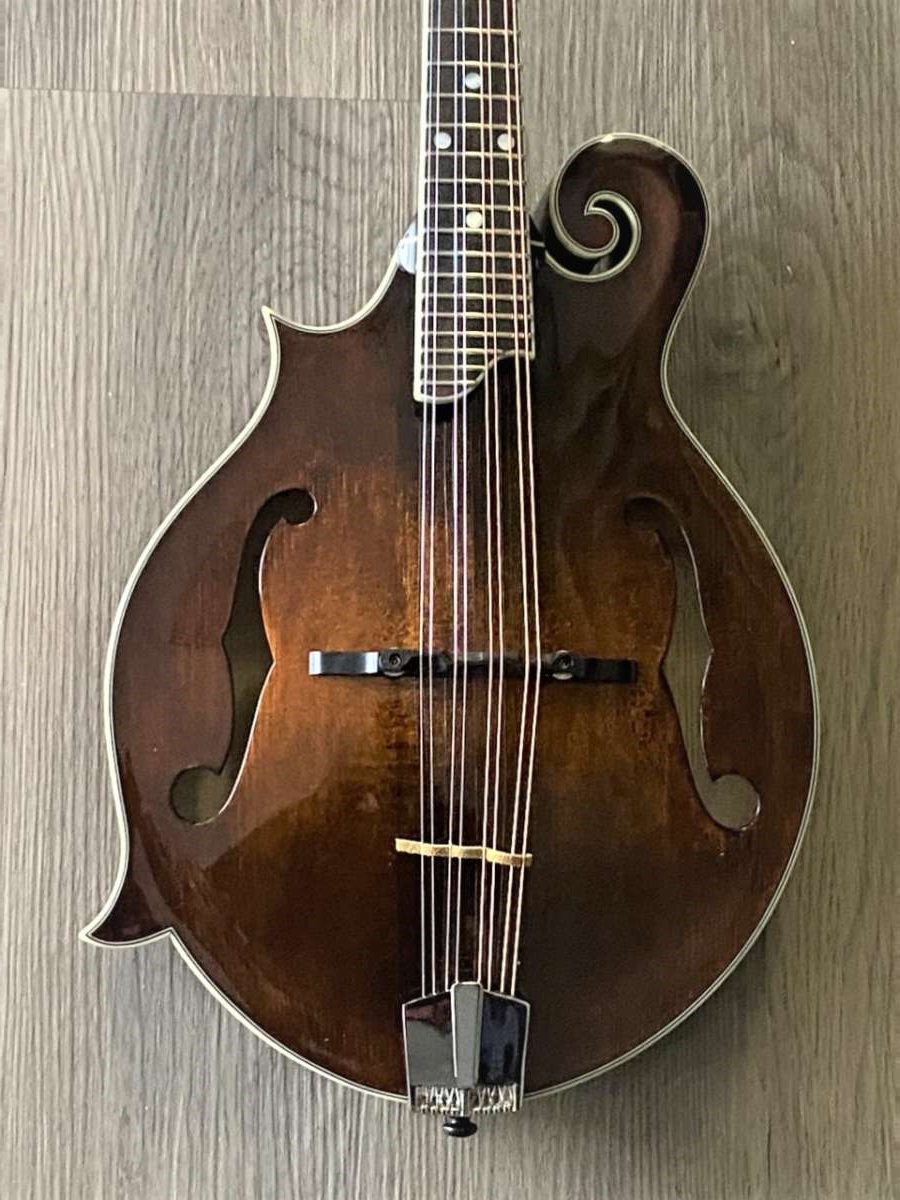 left handed mandolins for sale