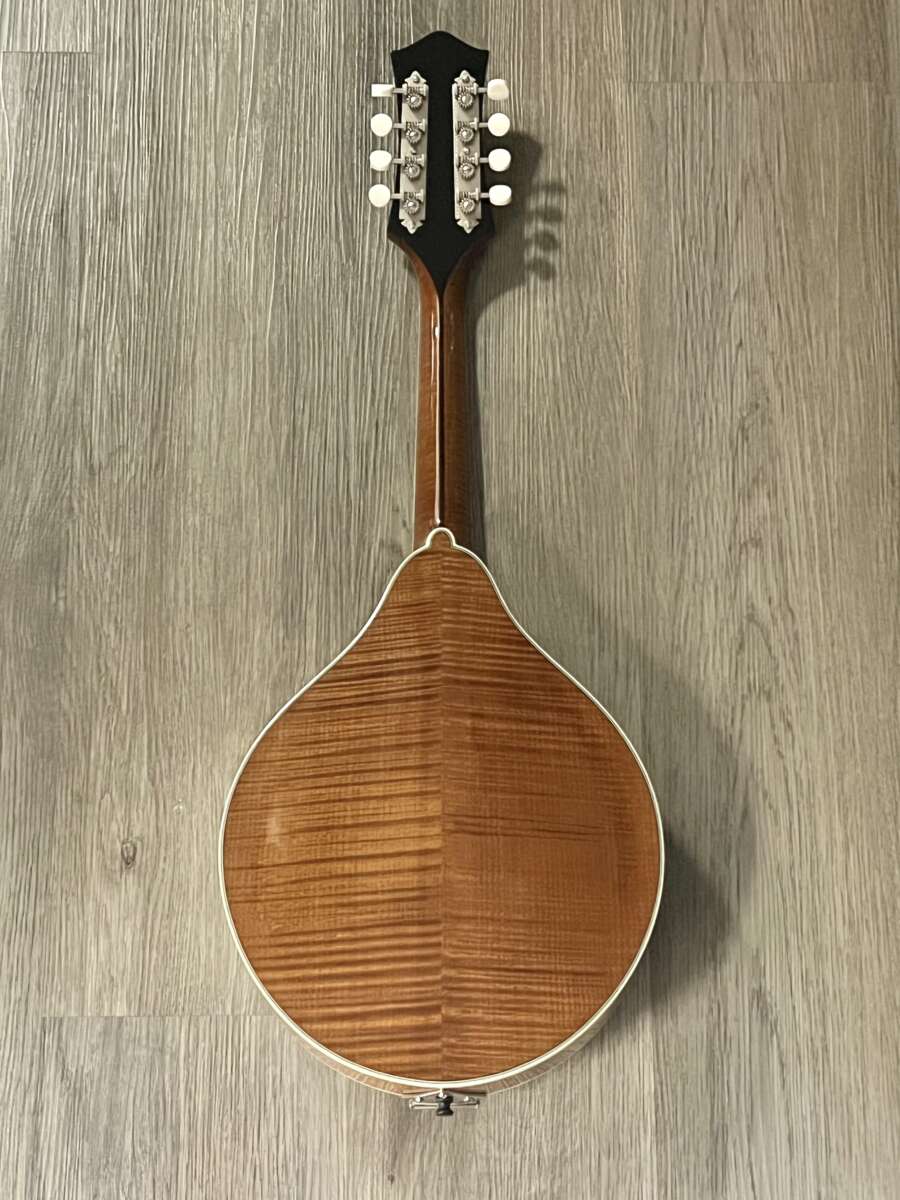 Bourgeois A Style Mandolin Fully Torrefied Mandolin Store