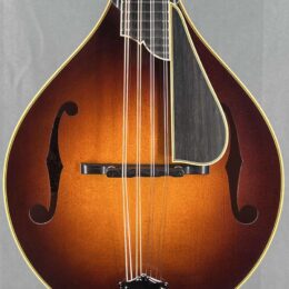 Collings Custom MT2V Mandolin
