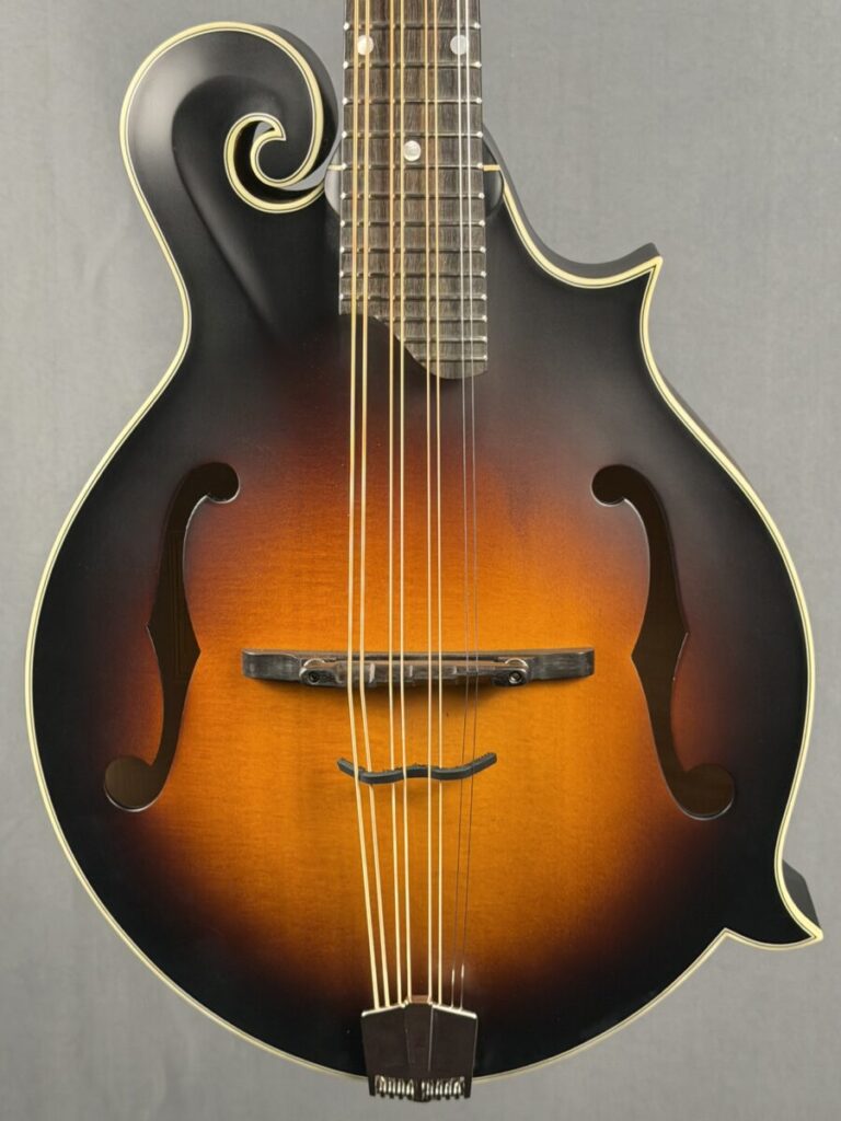 Eastman Mandola MDA315 Acoustic Electric - Mandolin Store