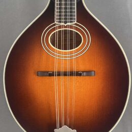 Pre-Owned Pava A4 Pro Mandolin