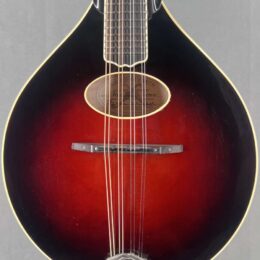 2005 Weber Absaroka Mandolin