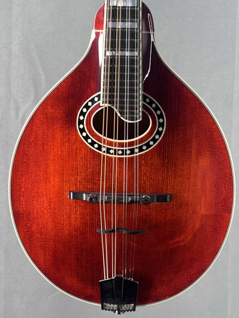 マンドリン　USA Eastman MD604 Acoustic Electric Mandolin - Mandolin Store