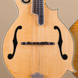 2024 Pre-Owned Bourgeois F Style Mandolin - Torrefied