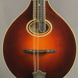 The Lafferty Vintage A Mandolin