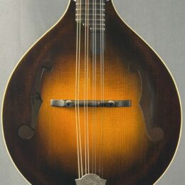 The Lafferty Satin A Mandolin