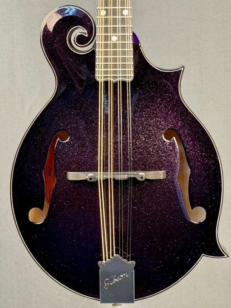 Gibson F-5G Custom Mandolin — Purple Flake - Mandolin Store