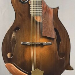 2013 June Mandolin