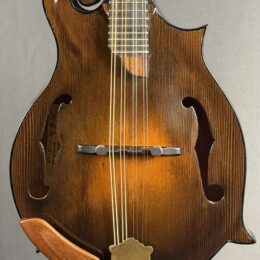 2013 June Mandolin