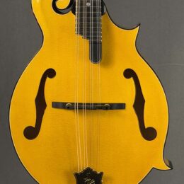 The Lafferty Goldmine Mandolin