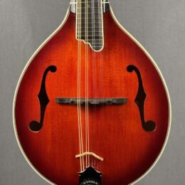 Tailwater TW-A5 Mandolin